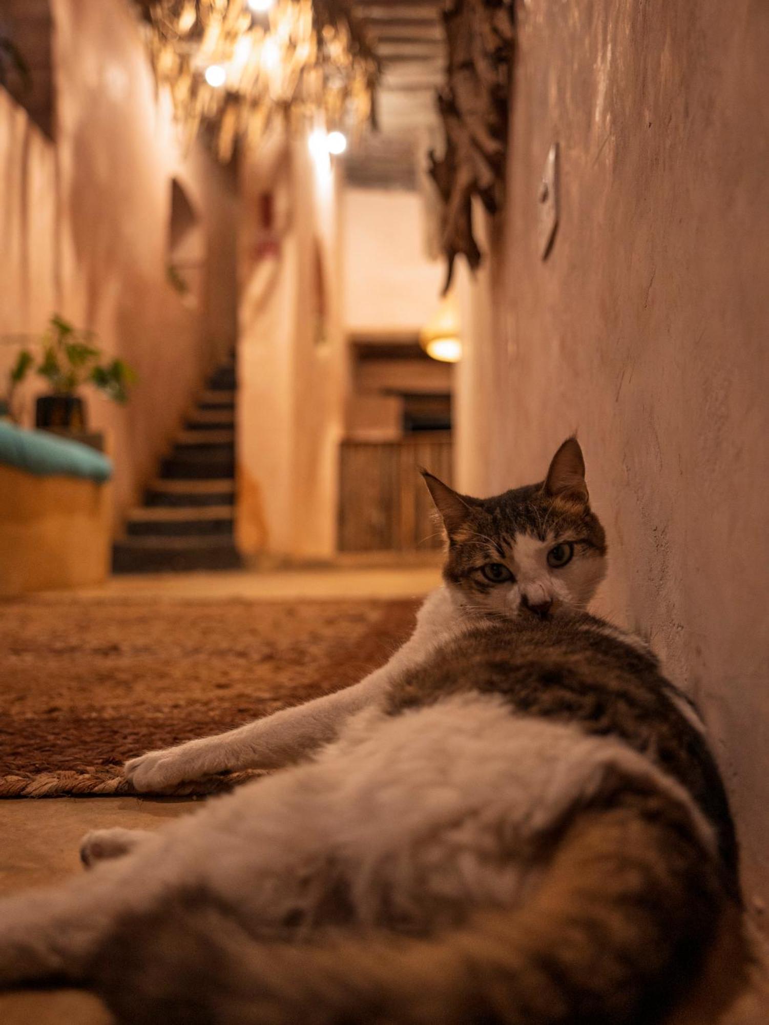 Firefly Boutique Hotel ザンジバルシティ エクステリア 写真